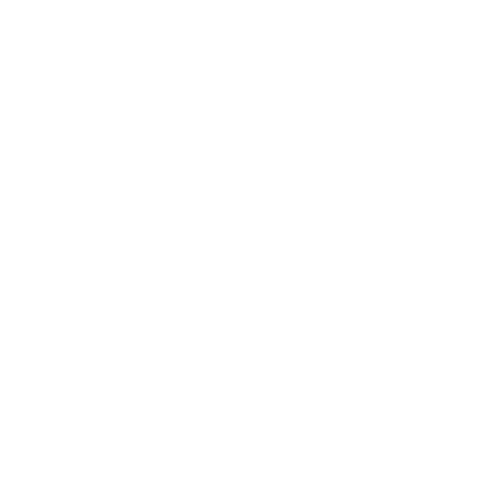 logo light